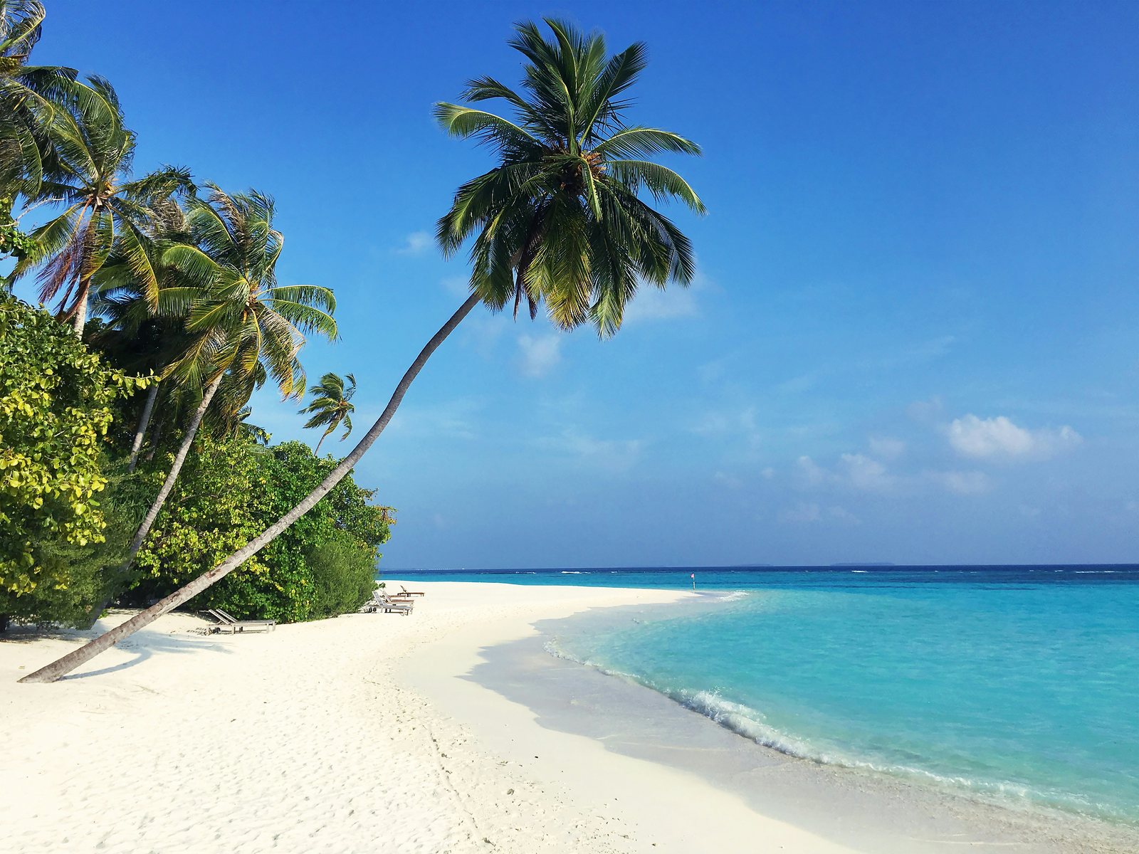 A palm-fringed white-sand beach and turquoise lagoon in the Maldives